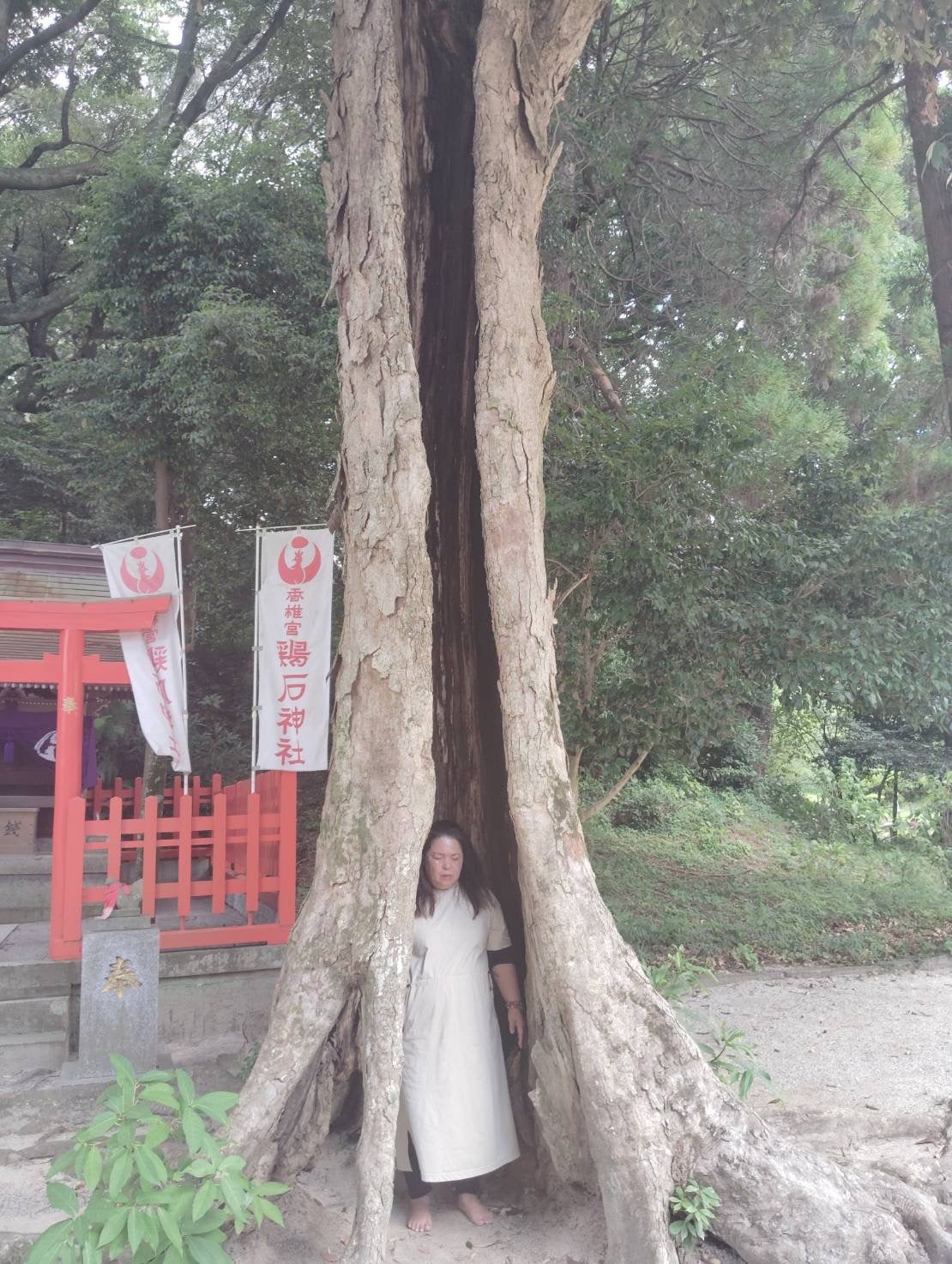 簡単かつ効果的な浄化法をレクチャーの写真