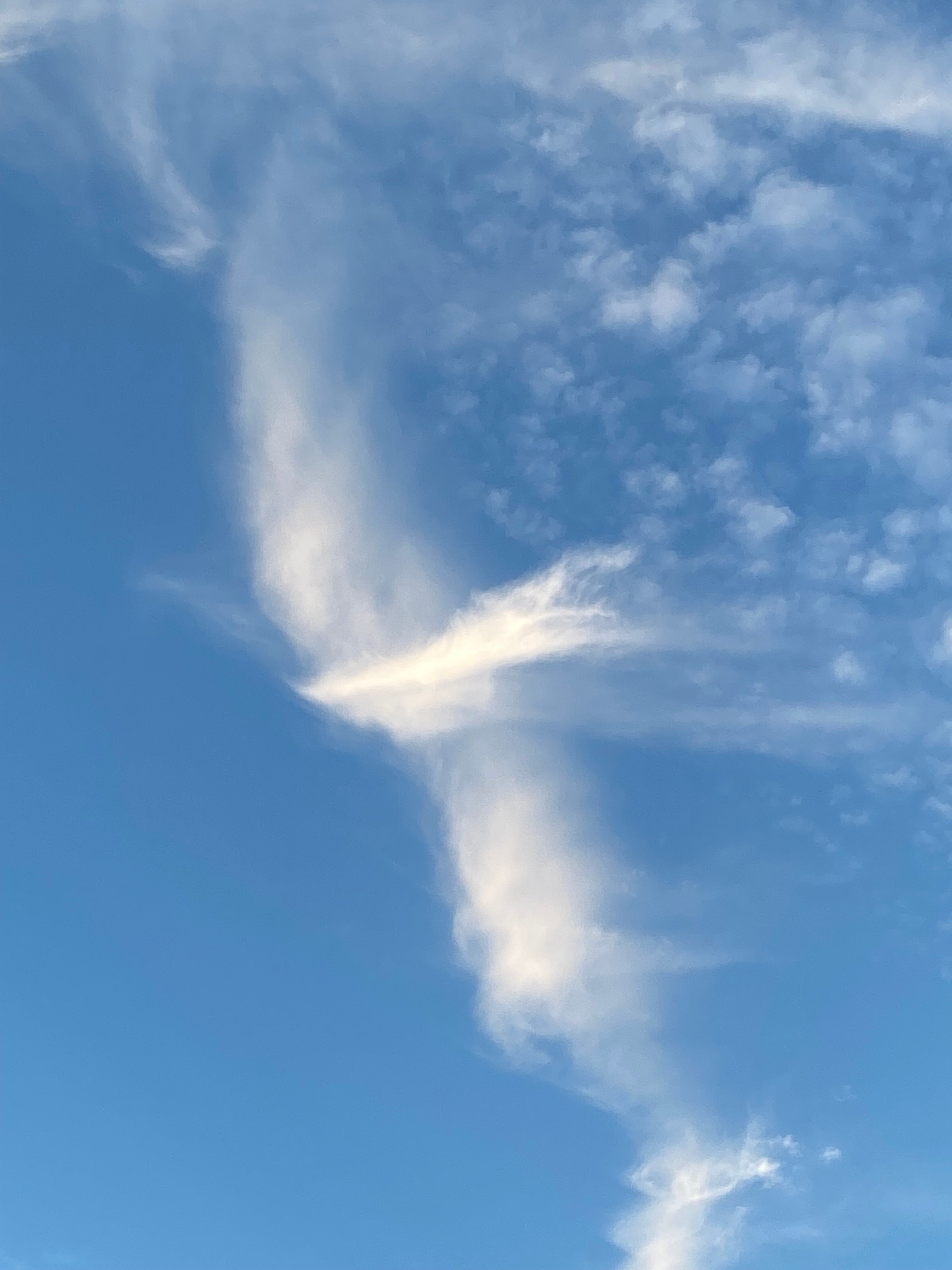 Ryunaviの紹介写真_2枚目